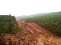 /album/expropria%c3%a7%c3%b5es/a14-sub-concess%c3%a3o-pinhal-interior-jpg/